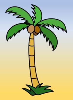 Palm Tree Image